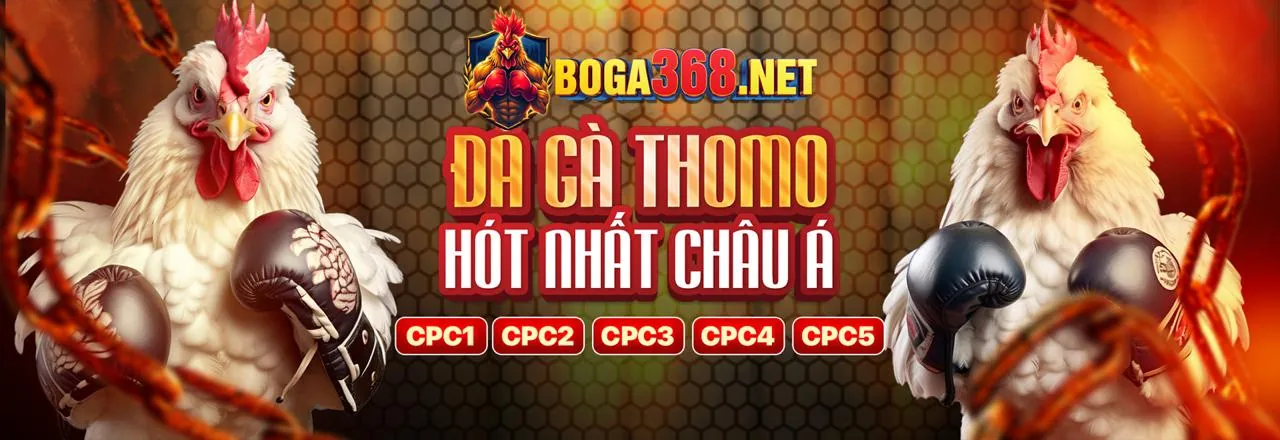 Đá Gà Rick88 Nhà Cái