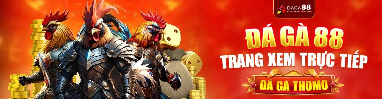 Sân vận động với ánh đèn rực rỡ, tượng trưng cho thế giới cá cược thể thao sôi động tại rick88 nhà cái